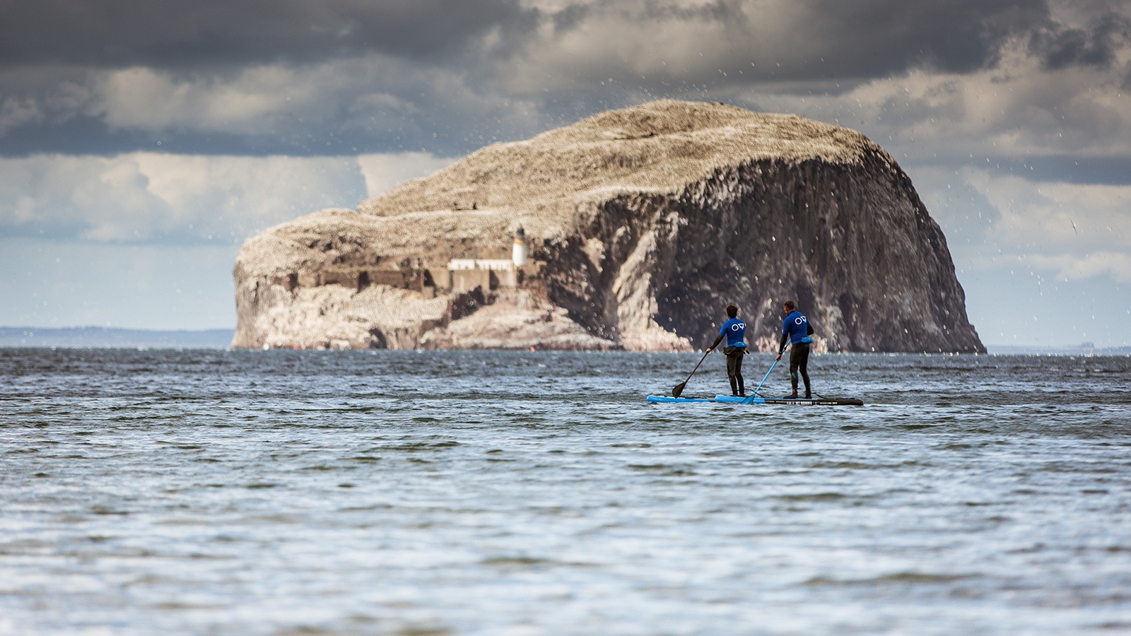 paddleboarding at bass rock east lothian Scotland 1600