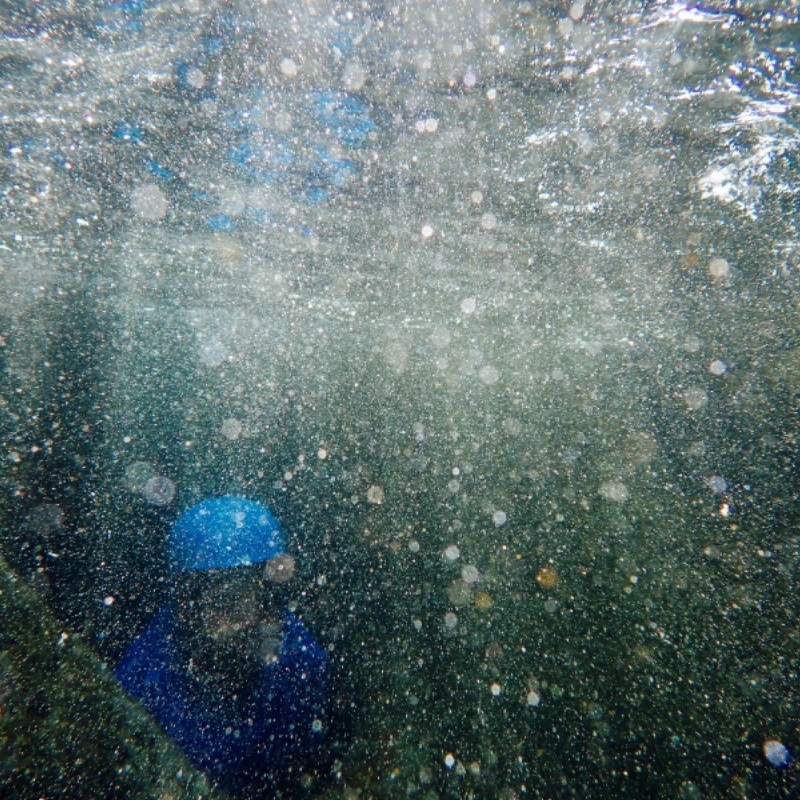 Coasteering adventure in East Lothian Dunbar and North Berwick