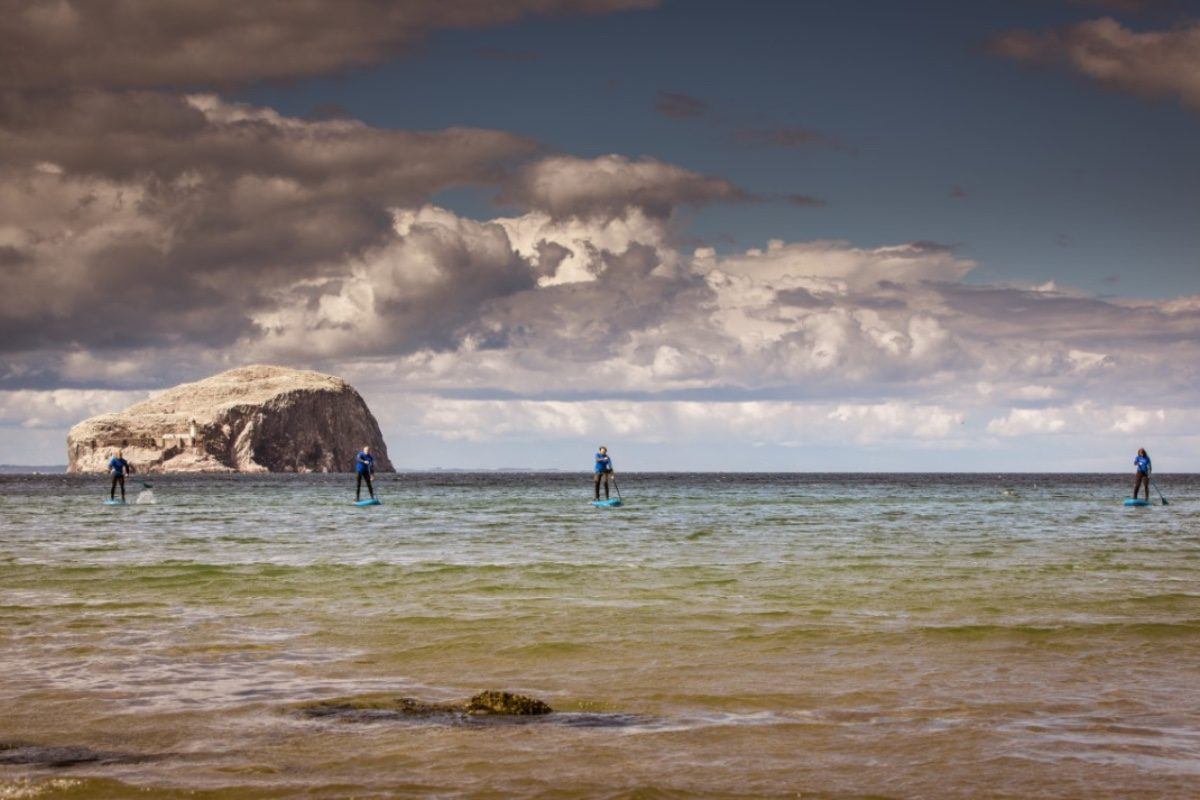 paddle boarding SUP by the Bass Rock close to Seacliff Beach North berwick and Dunbar in East Lothian