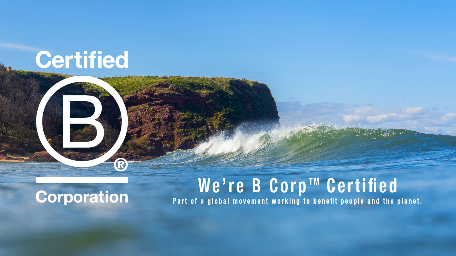 Bcorp Web 1